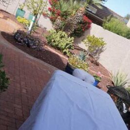 mobile massage table on patio in Phoenix AZ. with view of the backyard.